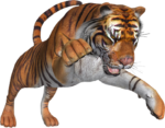 Скачать PNG картинку на прозрачном фоне прыжок, захват, тигр, нарисованный