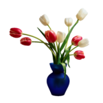 Скачать PNG картинку на прозрачном фоне Разноцветные тюльпаны в синей вазе