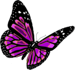 Скачать PNG картинку на прозрачном фоне Рисунок бабочки черно-розовой в полете