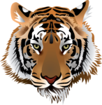 Скачать PNG картинку на прозрачном фоне рисунок тигра морда, взгляд вперед
