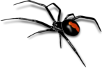 Скачать PNG картинку на прозрачном фоне Силуэт паука каракурта, нарисованнаый, с красным пятнышком