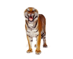 Скачать PNG картинку на прозрачном фоне стоит, рычит, тигр