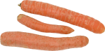 Скачать PNG картинку на прозрачном фоне Три длинные морковки рядом