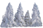 Скачать PNG картинку на прозрачном фоне Ёлки в снегу