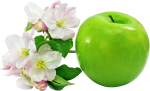Скачать PNG картинку на прозрачном фоне Зеленое яблоко рядом с цветами
