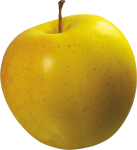 Скачать PNG картинку на прозрачном фоне Желтое яблоко вид сбоку