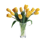Скачать PNG картинку на прозрачном фоне Желтые тюльпаны в прозрачной вазе