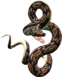 Скачать PNG картинку на прозрачном фоне Змея пятнистая, с открытой пастью, нарисованная